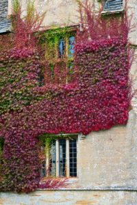 Autumn house with secondary glazing