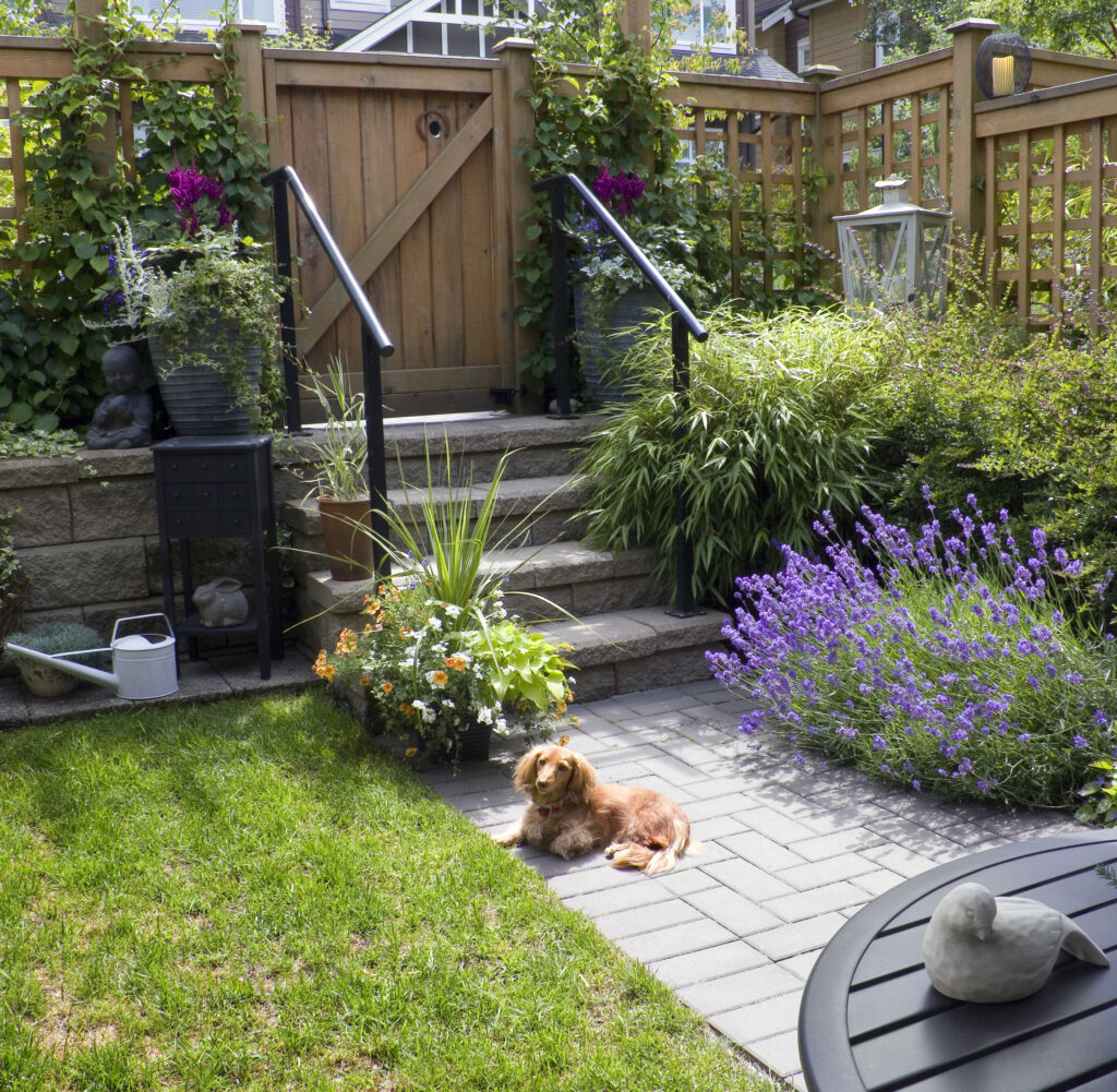 View of garden in bloom in May